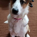 Profile Picture of Joey Sherman (@joey.sherman.180) on Instagram