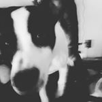 Profile Picture of Devin Peterson (@devinpeterson9) on Instagram