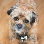 Profile Picture of Rachael Leach (@rach.leach) on Instagram