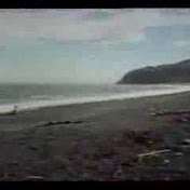 Profile Picture of Archhillvolunteers (@archhillvolunteers) on Youtube