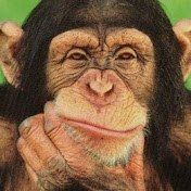 Profile Picture of Hugo Benavides (@huger100) on Youtube