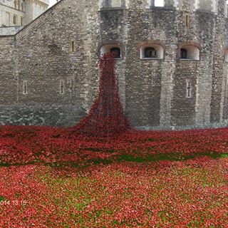 Profile Picture of Allan Rands (@Allan-Rands) on Facebook