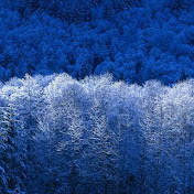 Profile Picture of Mian Liu (@mianliu3263) on Youtube