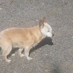 Profile Picture of Lynette Watson (@lynette.watson.716) on Instagram