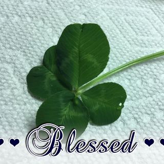 Profile Picture of Bonnie Doscher (@Bonnie-Doscher) on Facebook