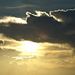 Profile Picture of Paul McWilliams (@mcwilliams2902) on Pinterest