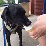 Profile Picture of Nancy Dougherty (@nanceroo) on Instagram