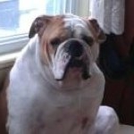 Profile Picture of Philip Tripp (@ptripp1) on Instagram