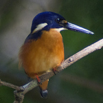 Profile Picture of Bradley Hunter (@hunterphoto2192) on Flickr