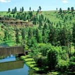 Profile Picture of JAVAN TV (@javantv) on Instagram