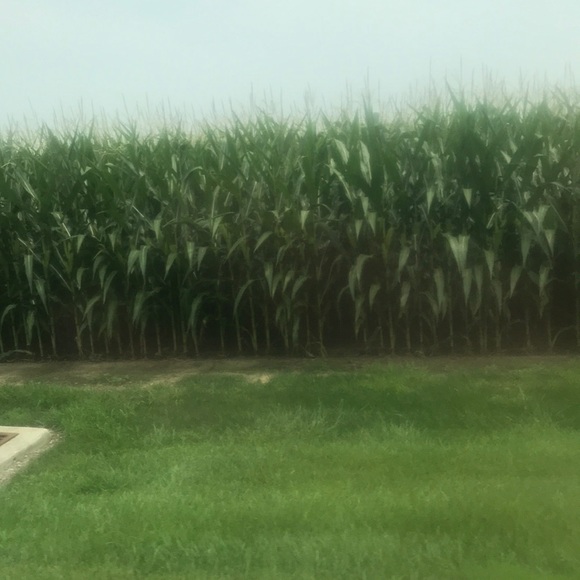 Profile Picture of Trevor Fletcher (@tfletcher377) on Poshmark