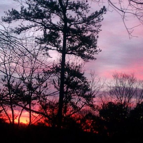 Profile Picture of Joanie Mitchell (@joaniekirchner) on Poshmark