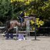 Profile Picture of Jan Manning (@jan.collings.33) on Facebook