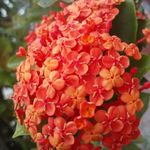 Profile Picture of Mónica Guadalupe Rossi Bordiga (@rossibordiga) on Instagram