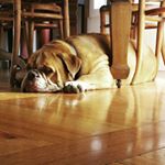 Profile Picture of Ernest Harold Harris (@ernstagram15) on Instagram