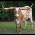 Profile Picture of Chuck Dodds (@chabob37) on Instagram