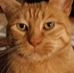 Profile Picture of Hal Murray (@hal.murray.779) on Facebook