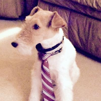 Profile Picture of Clay Chilton (@cchil07) on Twitter