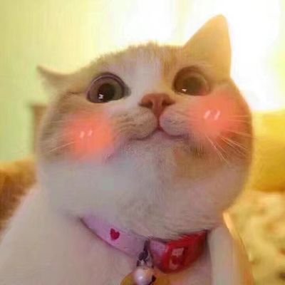 Profile Picture of 张一 (@KerryZhang123) on Twitter