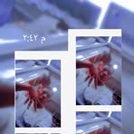 Profile Picture of Elias Back (@jacob.elias.9803) on Facebook