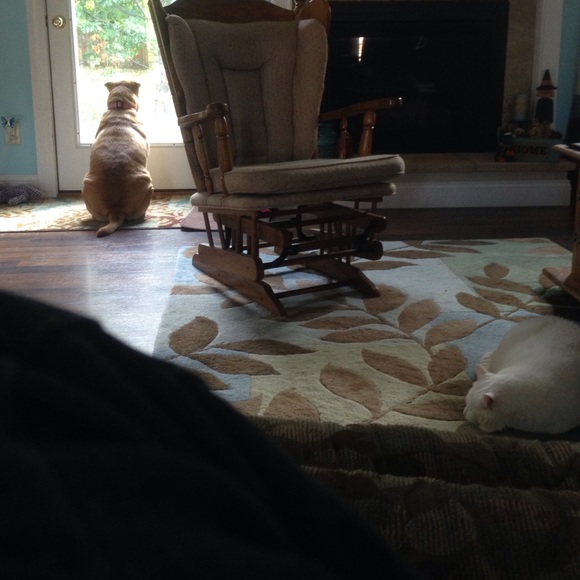 Profile Picture of Joyce Murphy (@joycemurphy87) on Poshmark