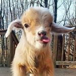 Profile Picture of Heath Quinn (@ghost5505) on Instagram