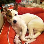 Profile Picture of Karin Jeffery (@kjbikegirl) on Instagram