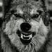 Profile Picture of Jason Bee (@jason.bee.982) on Facebook
