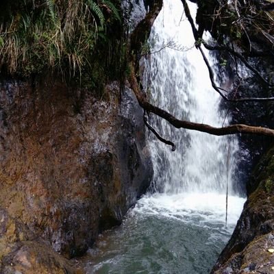 Profile Picture of Paúl Castelo (@CastelopaulPaul) on Twitter