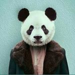 Profile Picture of Hüzünlü Biri Poncik (@sevimlibiriponcik) on Instagram