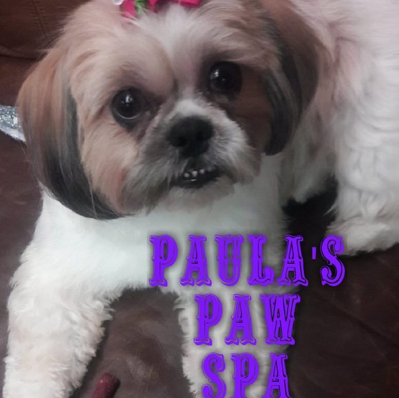 Profile Picture of Paula Pratt (@prattpaula76) on Poshmark