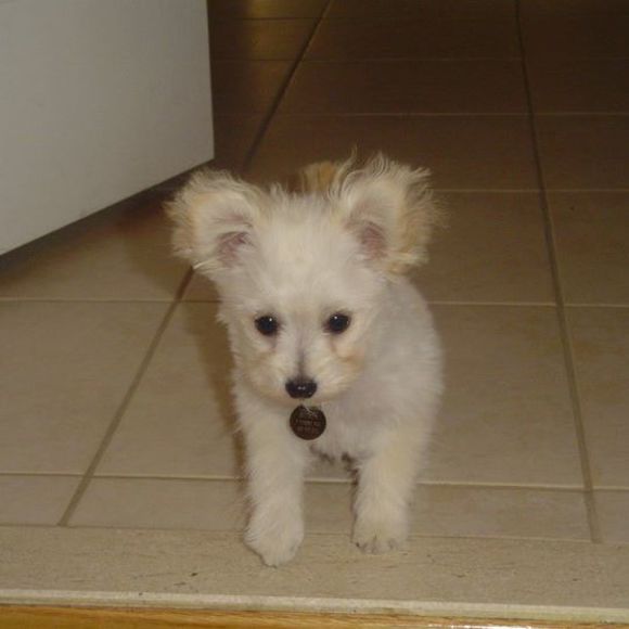 Profile Picture of Mariana Kotsaftis (@kotsaftis) on Poshmark