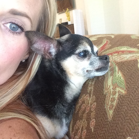 Profile Picture of Kim Phalin (@kimphalin) on Poshmark