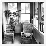 Profile Picture of Wade Wolfe (@beeinspiredhoney) on Instagram