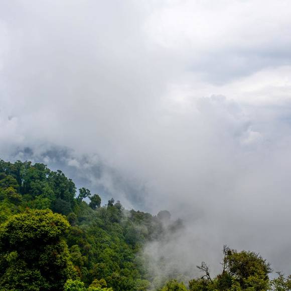 Profile Picture of Connie Zeng (@connie70470) on Poshmark