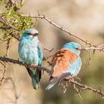 Profile Picture of School San (@school.san.2025) on Facebook