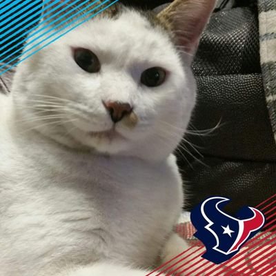 Profile Picture of Joel (@carolinaclicks) on Twitter
