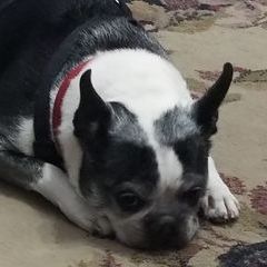 Profile Picture of Michael Spaeth941 (@michaelspaeth2) on Tiktok