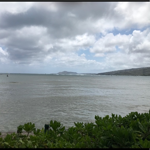 Profile Picture of Lynne Baer (@lbartprojects) on Poshmark