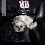 Profile Picture of Eric Peterman (@rep6903) on Instagram