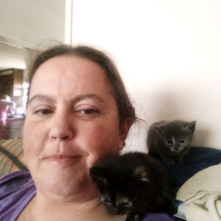 Profile Picture of Dawn (@dawn.seeringwolfs) on Tiktok