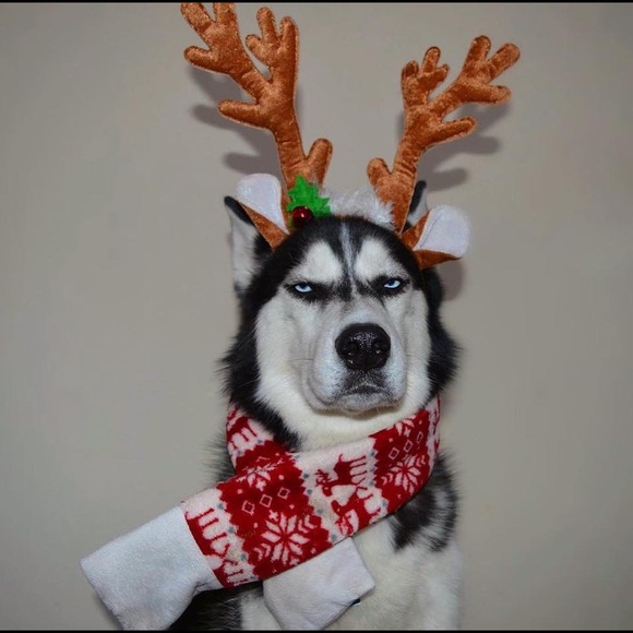 Profile Picture of Jonathan Esteves (@jigollow) on Poshmark