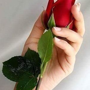 Profile Picture of Amirsaleh Amir (@AmirsalehAmir) on Twitter