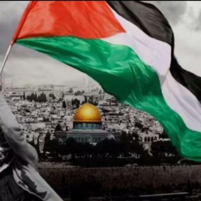 Profile Picture of Ahmad Daraghmeh (@AhmadDa73762007) on Twitter
