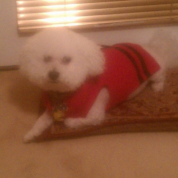 Profile Picture of Carleen Murfree (@murfreegrlmd) on Poshmark