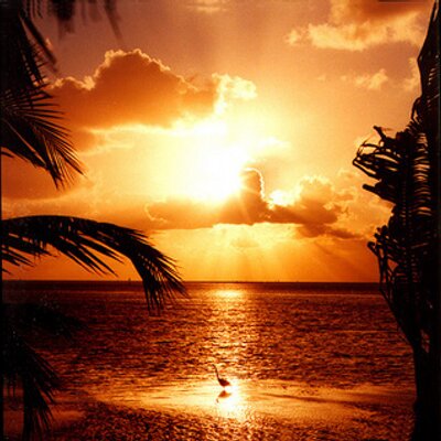 Profile Picture of Deb Lambert (@deb_sea) on Twitter
