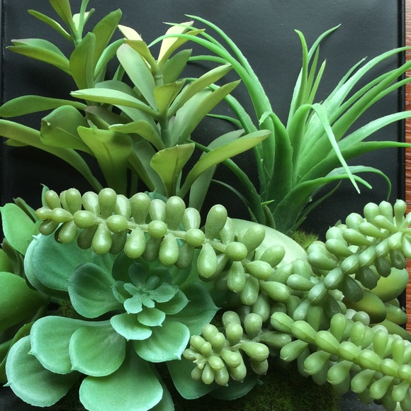 Profile Picture of Lukas Fuster (@lfuster2294) on Poshmark