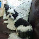 Profile Picture of Sally Shane (@sally.shane) on Instagram