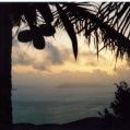 Profile Picture of Dawn Goad (@DawnGoad1) on Pinterest