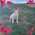 Profile Picture of Caleb Everett (@caleb.everett.129) on Facebook